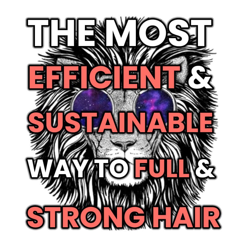 ebook-the-most-efficient-and-sustainable-way-to-full-and-strong-hair-cover